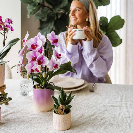 Gradience Übertopf Rosa – Ø6cm – Blumentopf mit Farbverlauf – Glänzender Keramiktopf für Sukkulenten & Mini – Orchideen