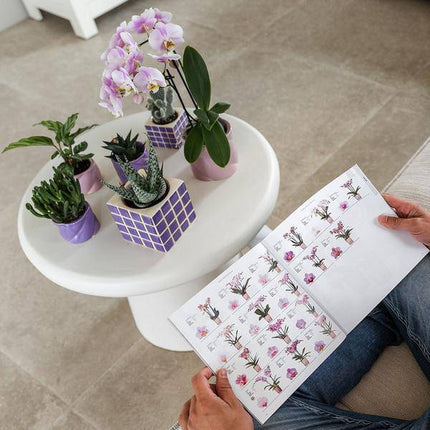 Dekotopf Candy – Flieder – Ø6cm – Farbiger Keramik Blumentopf in glänzender Optik – Runde Form – Für Mini-Orchideen, Sukkulenten & Zimmerpflanzen – Stilvolle Deko für Innenräume