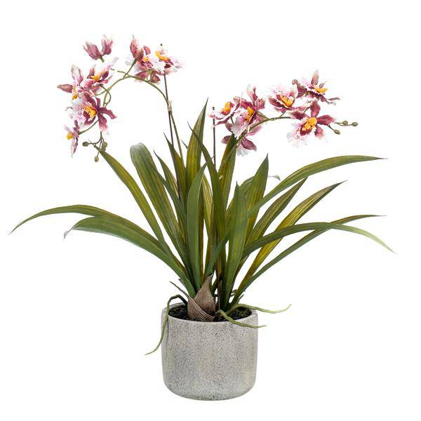 Künstliche Pflanze Orchidee – Bordeaux – 45cm – Täuschend echte Kunstorchidee im Topf – Dekoblume für Wohnzimmer, Büro & Esstisch – Pflegeleichte Kunstpflanze