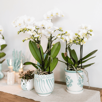 Malaga Übertopf – Türkis – Ø9cm – Blumentopf aus Keramik im mediterranen Stil – Pflanztopf mit handgefertigter Optik – Stilvolle Zimmerdekoration