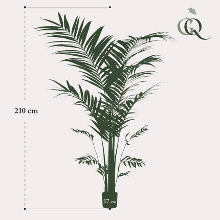 Kunstpflanze Kentia Palme – ca. 210cm hoch – XXL künstliche Kentiapalme mit großen Wedeln – Tropische Zimmerpflanze für Wohnzimmer, Büro & Empfangsbereiche