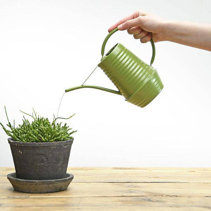 Blumengießkanne Zink – 1  Liter – Grün – Ergonomische Indoor-Gießkanne mit langer Tülle für präzises Gießen