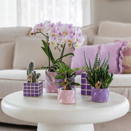 Dekotopf Candy – Flieder – Ø6cm – Farbiger Keramik Blumentopf in glänzender Optik – Runde Form – Für Mini-Orchideen, Sukkulenten & Zimmerpflanzen – Stilvolle Deko für Innenräume