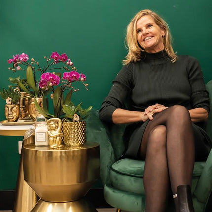 Phalaenopsis-Orchidee – Morelia – Fliederfarben – Ø9cm – ca. 35cm hoch – Inkl. goldener Diamond-Ziertopf – Blühende Zimmerpflanze mit 2–3 Zweigen