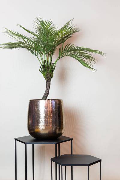Kunstpflanze Chamaedorea Elegans – Bergpalme – 85cm – Hochwertige künstliche Palme mit naturgetreuen Wedeln – Immergrüne Dekopflanze für Wohnzimmer, Wintergarten & Büro – Pflegefrei & langlebig