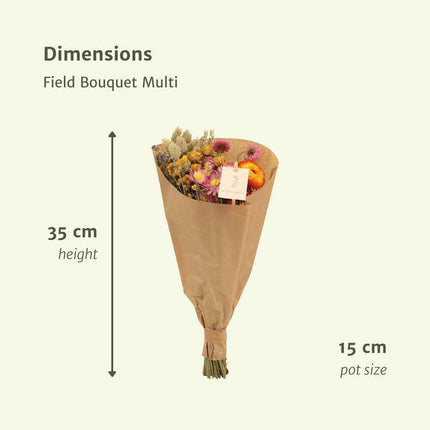 Trockenblumen – 12 Sträuße Field Bouquet Multi – bunter Trockenstrauß – 35cm Höhe Ø15cm – langlebige getrocknete Blumen für Dekoration & Geschenkideen