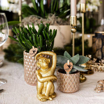 Diamant Perle Dekotopf – Sand – Ø9cm – Moderner Blumentopf in Steinoptik – Eleganter Dekotopf für Zimmerpflanzen, Sukkulenten & Kakteen – Stilvolles Wohnaccessoire