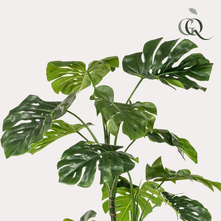 Kunstpflanze Monstera – Fensterblatt – ca. 180cm hoch – Realistische künstliche Zimmerpflanze mit großen Blättern – Dekopflanze für Wohnzimmer, Büro & Wintergarten