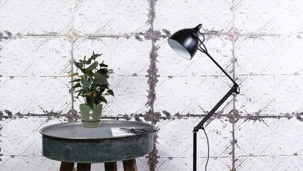 Anthurium Black Love – Flamingoblume – Zimmerpflanze – Ø12cm – ↕36cm – Elegante Anthurie mit glänzenden Blättern & herzförmigen Blüten – Luftreinigende Zimmerpflanze