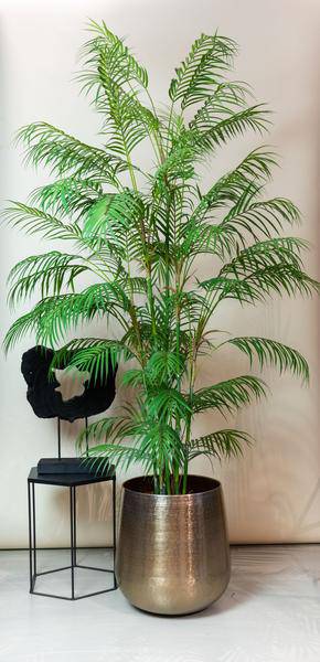 Kunstpflanze Chamaedorea Elegans ↕180cm – künstliche Grünpflanze für Wohnzimmer, Büro, Flur & pflegeleichte Deko