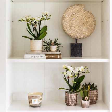 Marmor-Topf Dunkel – Ø9cm – Keramik Blumentopf mit edler Marmoroptik – Dekotopf für kleine Zimmerpflanzen, Sukkulenten & Kräuter – Zeitlos & modern