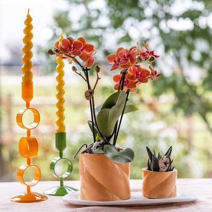 Candy Blumentopf Pfirsich Ø9cm – Dekorativer Keramiktopf in moderner runder Form – Pflanzentopf für Orchideen, Sukkulenten & Grünpflanzen – Stilvolle Blumendeko für Wohnzimmer, Küche & Büro