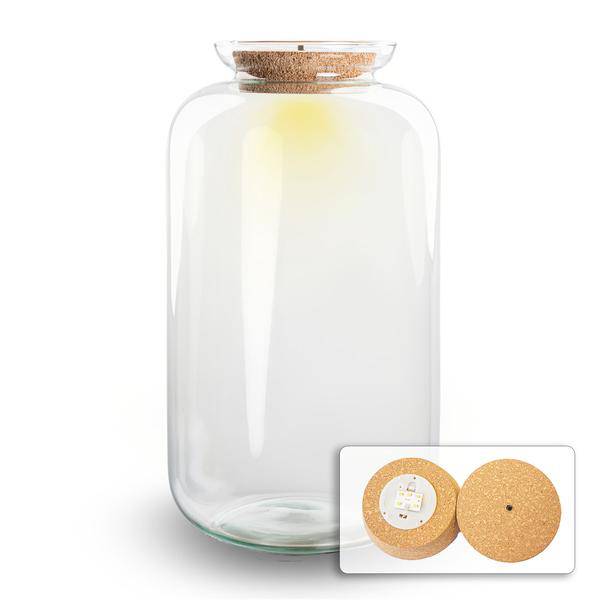 Flaschengarten Terrarium Flasche + LED in Kork ↕43cm – pflegeleichter Flaschengarten im Glas, Pflanzen Terrarium für Wohnzimmer & Büro