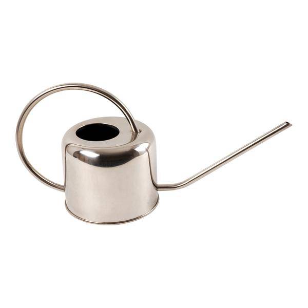 Gießkanne aus rostfreiem Stahl Gartenpflanze – Pflanze für Garten, Balkon, Terrasse, Kübel & Beet online kaufen