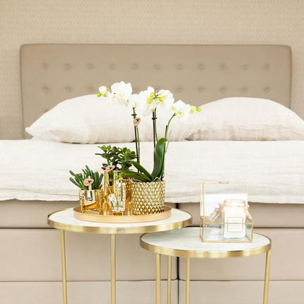 Blumentopf Diamant – Gold – Ø9cm – Keramik-Ziertopf mit Rautenmuster & Metallic-Finish – Handgefertigt – Für Orchideen, Sukkulenten & Zimmerpflanzen – Dekotopf für Wohnzimmer & Büro