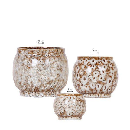 Kombi – Angebot Safari Ziertöpfe 3er Set – Ø6cm, Ø9cm & Ø12cm – Stilvolle Pflanztöpfe für Zimmerpflanzen – Exotisches Dschungel – Design