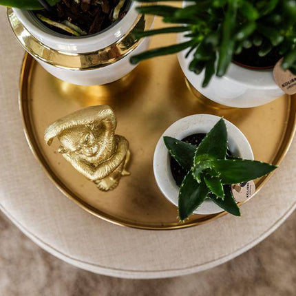 Le Chic Blumentopf – Weißer Keramiktopf mit goldenen Details – Ø9cm – Eleganter Ziertopf für Orchideen & Grünpflanzen – Stilvoller Deko-Übertopf