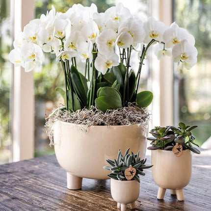 Gummitopf – Travertin – Ø9cm – Moderner Keramik Blumentopf in Natursteinoptik – Dekorativer Ziertopf für Zimmerpflanzen, Sukkulenten & Orchideen – Stilvolle Wohnraumdeko