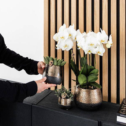 Keramik Blumentopf Kupfer – Mini – Pflanztopf Ø6cm – Glänzender Übertopf für kleine Zimmerpflanzen, Sukkulenten & Kakteen