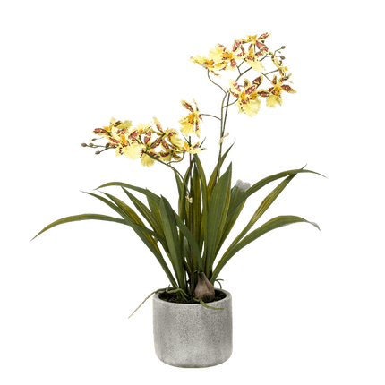 Künstliche Pflanze Orchidee – Gelb – Braun – 45cm – Täuschend echte Kunstorchidee im Topf – Dekoblume für Wohnzimmer, Schlafzimmer, Küche & Büro