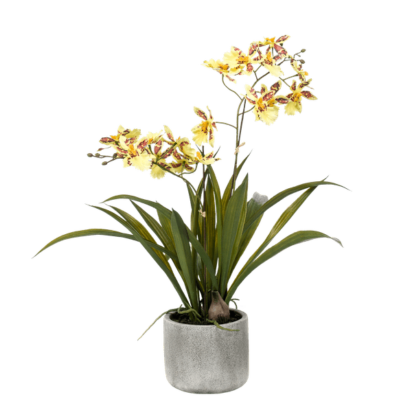 Künstliche Pflanze Orchidee – Gelb – Braun – 45cm – Täuschend echte Kunstorchidee im Topf – Dekoblume für Wohnzimmer, Schlafzimmer, Küche & Büro