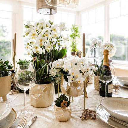 Pearl Blumentopf glänzend in Blau, Grün, Rosa oder Travertin – Eleganter Übertopf Ø6cm Ø9cm Ø12cm – Pflanzgefäß für Zimmerpflanzen & Deko