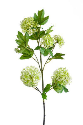 Kunstpflanze Künstliche Viburnum Opulus Zweige Creme 75cm 4er – Set Realistische Kunstb ↕75cm – künstliche Grünpflanze für Wohnzimmer, Büro, Flur