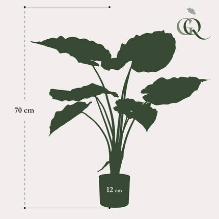 Kunstpflanze Alocasia Frydek – Elefantenohr – 70cm – künstliche Pflanze mit grünen Blättern – Deko-Pflanze für Zimmer & Büro – pflegefrei