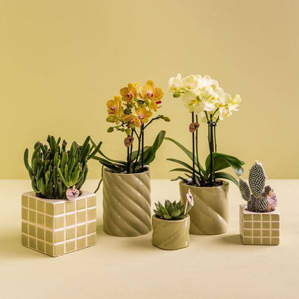 Dekotopf Candy – Grün – Ø6cm – Farbiger Keramik Blumentopf in glänzender Optik – Runde Form – Für Mini-Pflanzen & Orchideen