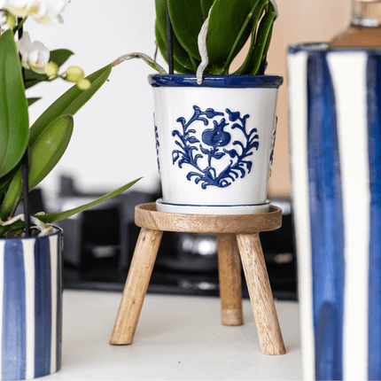 Orchidee Amabilis Weiß – Zimmerpflanze mit 2–3 Stielen – Im Malaga Ziertopf Blau Ø9cm – Elegante Phalaenopsis für stilvolles Interieur & sommerliches Flair