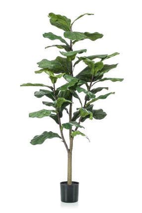 Kunstpflanze Ficus Lyrata – Geigen-Feige – 120cm – Hochwertige künstliche Pflanze mit großen naturgetreuen Blättern – Immergrüne Dekopflanze für Wohnzimmer, Büro & Innenräume – Pflegefrei & langlebig