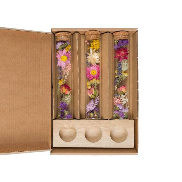 Getrocknete Blumen – Message in a Box Groß – Multi – 8 Stück – Höhe ca. 15cm – Geschenkbox mit Trockenblumen – Dekoration & Geschenkidee