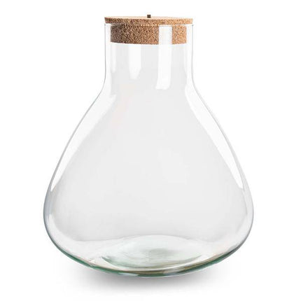 Flaschengarten – Terrarienflasche mit LED-Korken – Erlenmeyerkolben im Pyramidendesign – Geschlossenes Terrarium – Höhe 32 cm – Recyceltes Glas