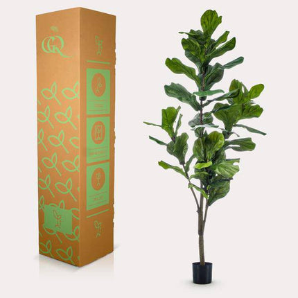 Kunstpflanze Ficus Lyrata – Geigen-Feige – 150 cm – Pflegeleicht & realistisch – Perfekt für Wohnzimmer & Büro