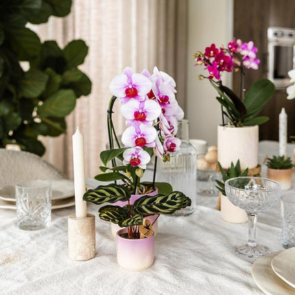 Gradience Übertopf Rosa – Ø9cm – Keramik – Blumentopf mit Farbverlauf – Glänzender Übertopf für Orchideen, Zimmerpflanzen & Sukkulenten