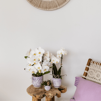 Topf Granada – Flieder – Ø6cm – Dekorativer Blumentopf aus glasierter Keramik – Mediterraner Stil – Pflanzgefäß für Zimmerpflanzen, Sukkulenten & Deko