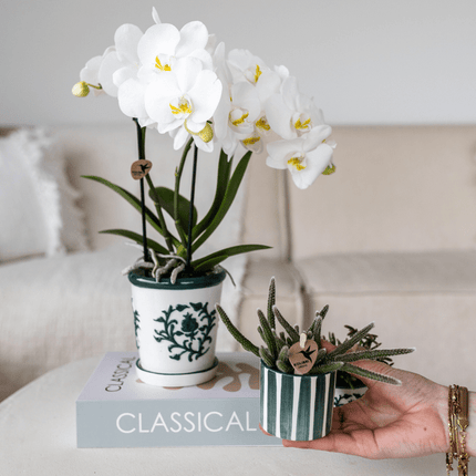 Malaga Topf – Grün – Ø6cm – Dekorativer Blumentopf aus Keramik im mediterranen Stil – Handgefertigte Optik – Pflanzgefäß für Zimmerpflanzen & Deko