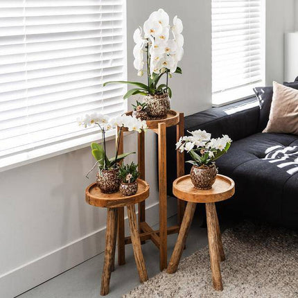 Blumentopf Safari – Ø6cm – Handgefertigter Keramik Übertopf – Dekorativer Mini Pflanztopf für kleine Zimmerpflanzen, Kakteen & Sukkulenten