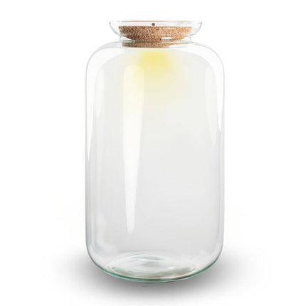 Flaschengarten Terrarium Flasche + LED in Kork ↕43cm – pflegeleichter Flaschengarten im Glas, Pflanzen Terrarium für Wohnzimmer & Büro