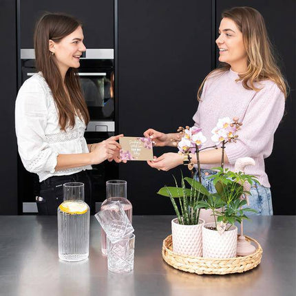 Dekorative Schale – Runde Hyazinthenschale Ø30cm – Naturtablett aus geflochtenen Blättern – Ideal als Pflanzenunterlage oder Deko-Element