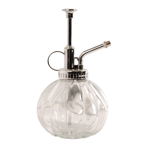 Pflanzensprüher Glas Klar/Silber – Ø8,8cm – ↕15,4cm – 0,25L – Dekorativer Handsprüher mit feinem Sprühnebel – Blumensprüher für Zimmerpflanzen & Orchideen