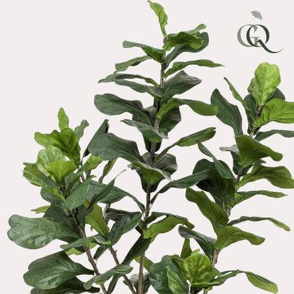Kunstpflanze Ficus lyrata – Tabakpflanze / Geigenblattpflanze – ca. 210cm hoch – XXL künstliche Zimmerpflanze mit großen Blättern – Dekopflanze für Wohnzimmer & Büro