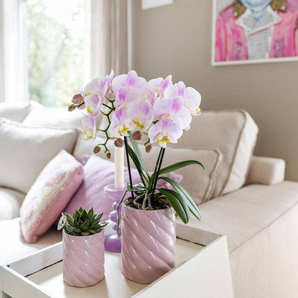 Candy Dekotopf – Hoch – Rosa – Ø6cm – Keramik Übertopf in Pastellrosa – Stilvoller Blumentopf für Zimmerpflanzen & Orchideen