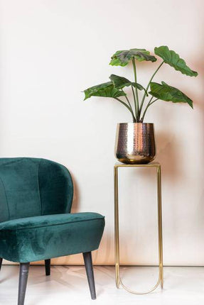 Kunstpflanze Alocasia Frydek – Elefantenohr – 70cm – künstliche Pflanze mit grünen Blättern – Deko-Pflanze für Zimmer & Büro – pflegefrei