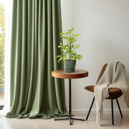 Strahlenaralie – Schefflera Charlotte – Zimmerpflanze – Ø13cm – ca. 45cm hoch – luftreinigende Grünpflanze für Zuhause & Büro