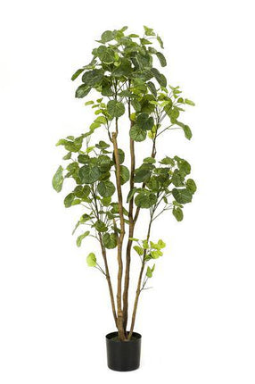 Kunstpflanze Polyscias – Aralia – 160cm – Hochwertiger künstlicher Zimmerbaum mit vielen naturgetreuen Blättern – Immergrüne Dekopflanze für Wohnzimmer, Büro & Innenräume – Pflegefrei & langlebig