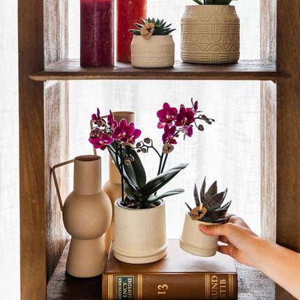 Bali Blumentopf Off White Ø9cm – Dekorativer Keramiktopf mit Rillenstruktur – Moderner Pflanzentopf im minimalistischen Design – Stilvolle Blumendeko für Wohnzimmer, Küche & Büro