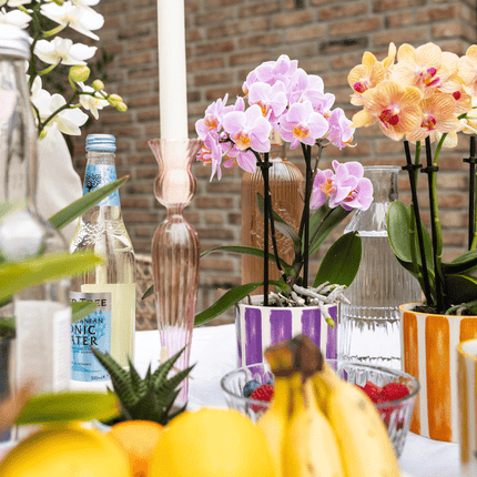 Dekotopf Keramik – Blumentopf Bemalter Streifen Orange – Ø9cm – Modernes Pflanzgefäß für Zimmerpflanzen & Deko