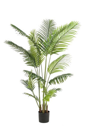Kunstpalme Howea forsteriana – 160cm – Realistische Kentia – Palme – Pflegefrei – Hypoallergen – Für Wohnzimmer, Büro & Wintergarten – Highlight