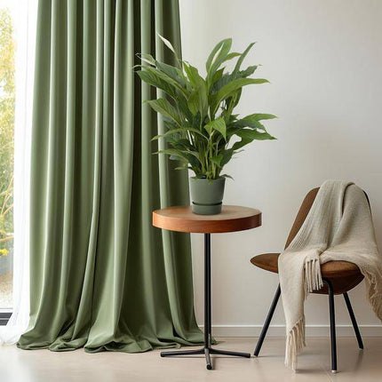 Einblatt – Spathiphyllum Torelli – Friedenslilie Zimmerpflanze 65cm – Ø17cm – Grünpflanze mit weißen Blüten – Luftreinigende Zimmerpflanze für Wohnzimmer, Schlafzimmer & Büro – Pflegeleicht